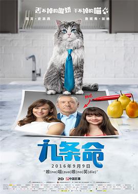 久久久久婷